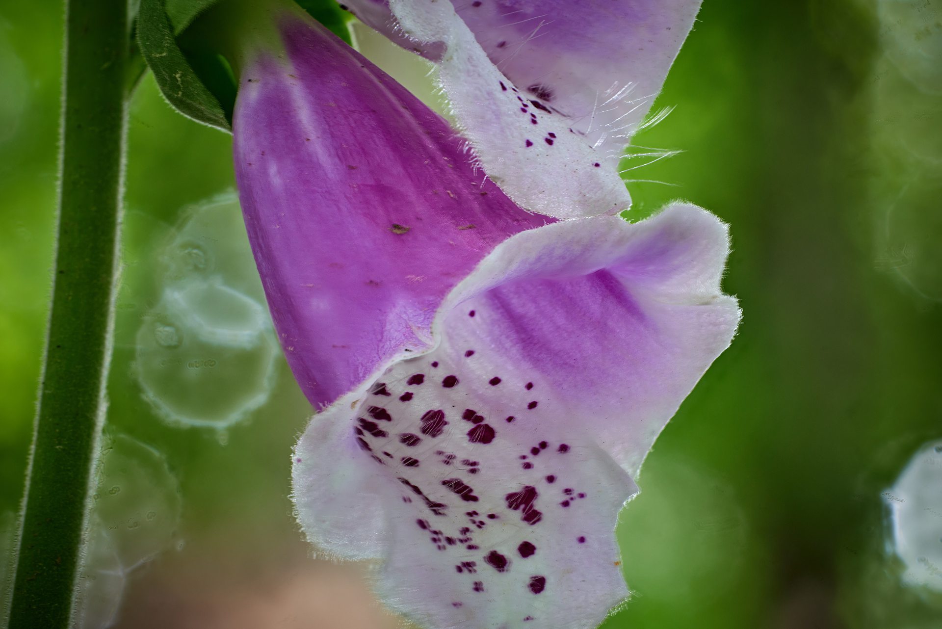 Bild 92